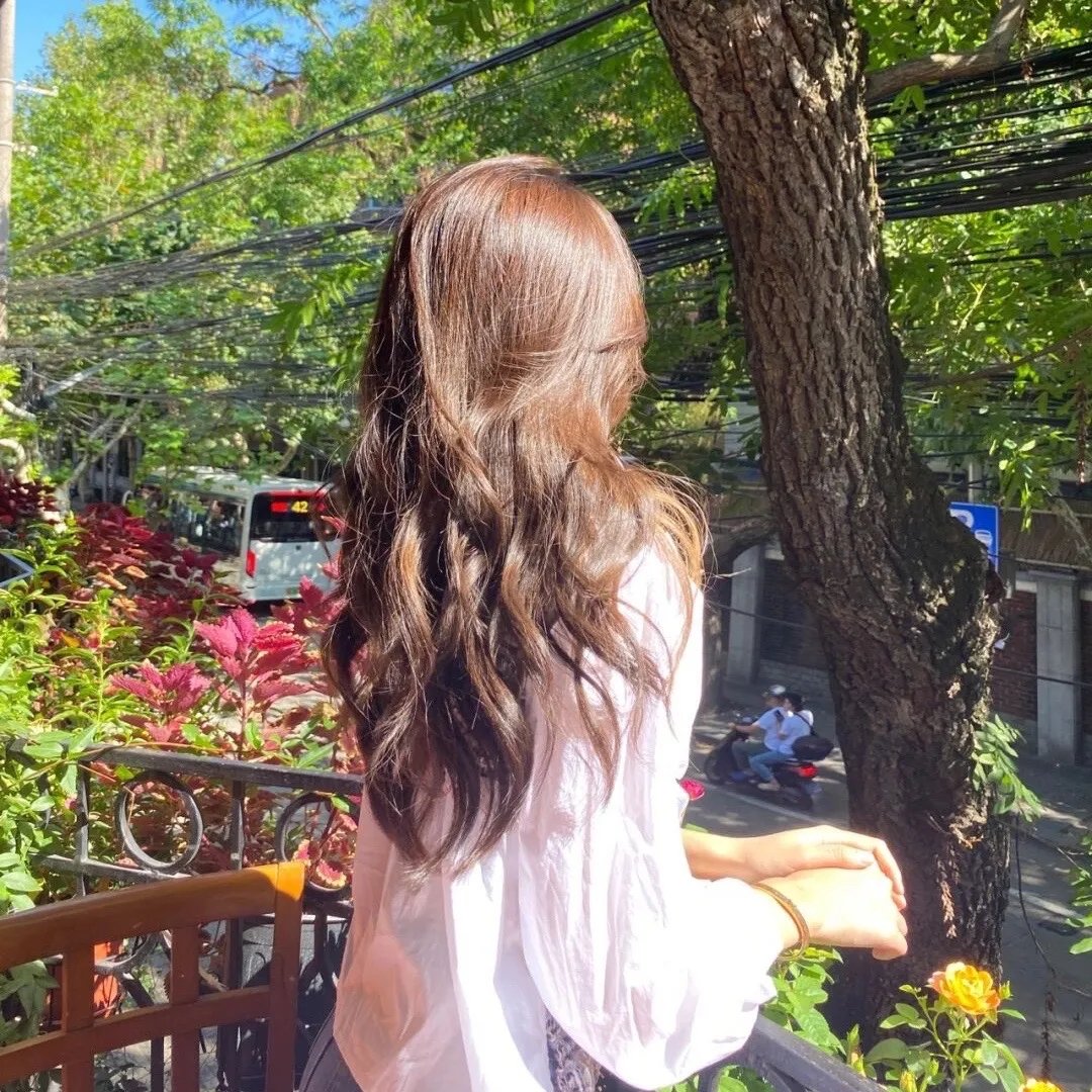 夏绿蒂的网