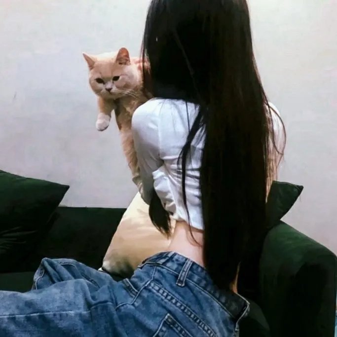 泰山与狩猎者