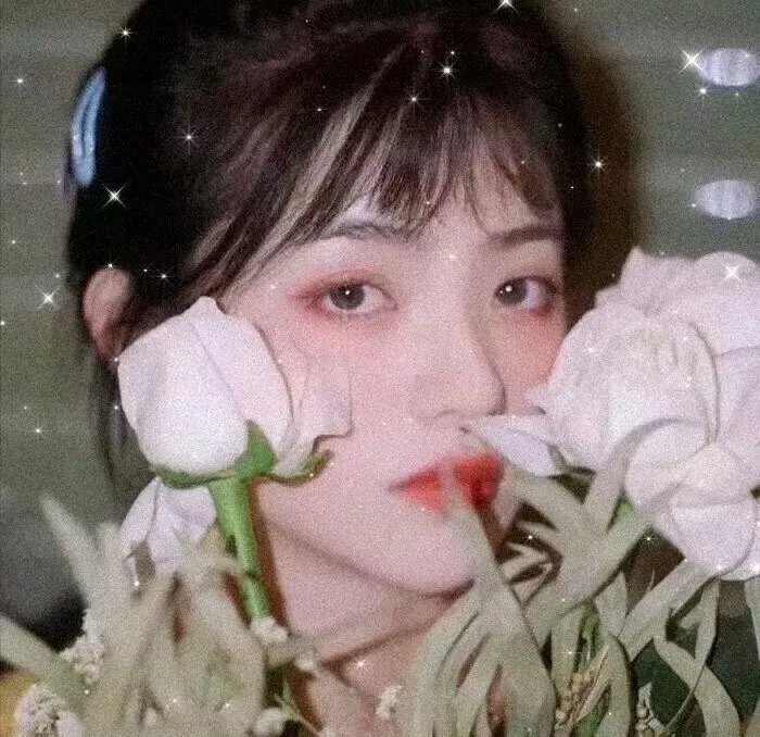 我不负卿